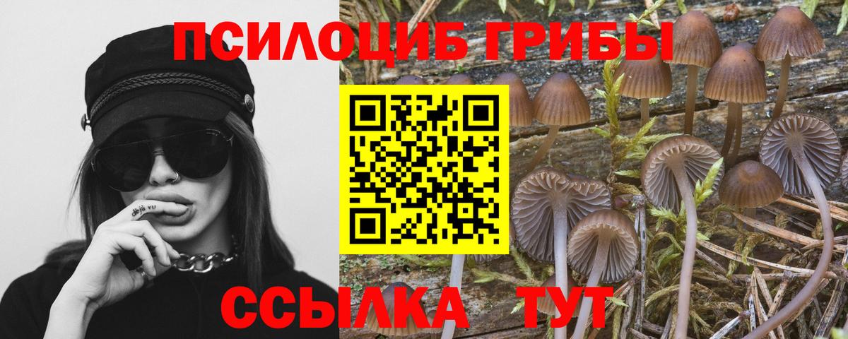 Псилоцибиновые грибы Cubensis Славянск-на-Кубани