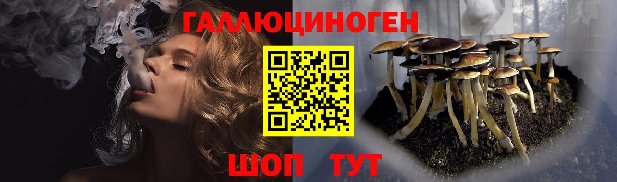 Псилоцибиновые грибы мицелий  Вход с VPN  Славянск-на-Кубани 